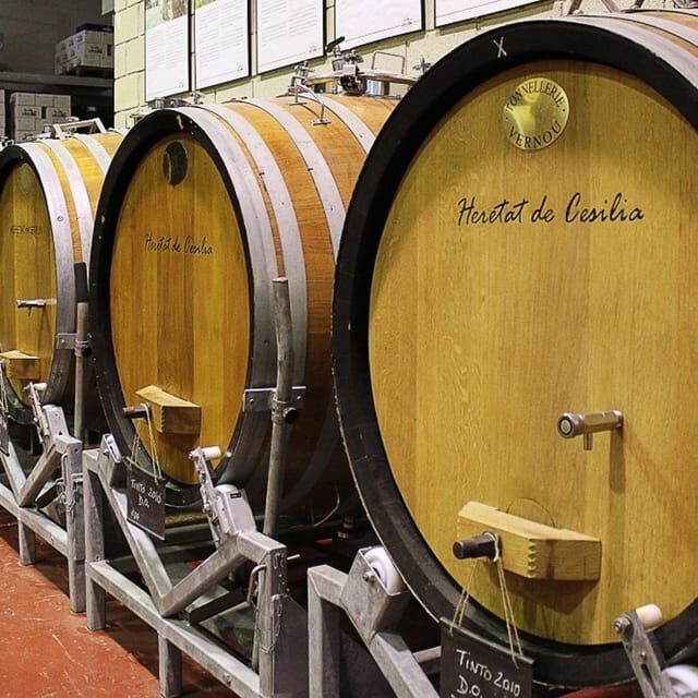 Alicante: Historic Winery Guided Tour + Wine Tasting / Private Transport - Why Travelers Love This Tour