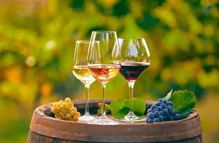Alicante: Old Winery Tour & Wine Tasting Including Transfer - Transportation and Group Size