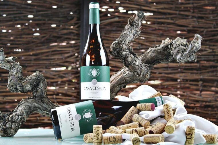 Alicante: Old Winery Tour & Wine Tasting Including Transfer - Customer Reviews