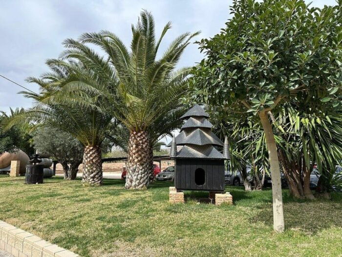 Alicante: Old Winery Tour & Wine Tasting Including Transfer - Common Questions