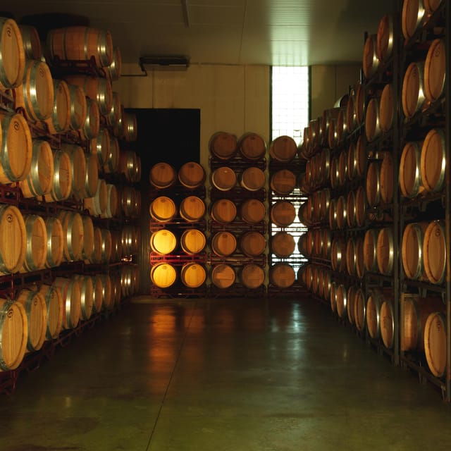 Alicante (Pinoso): Tour Experience Back From the Vineyard to the Glass - Itinerary Details