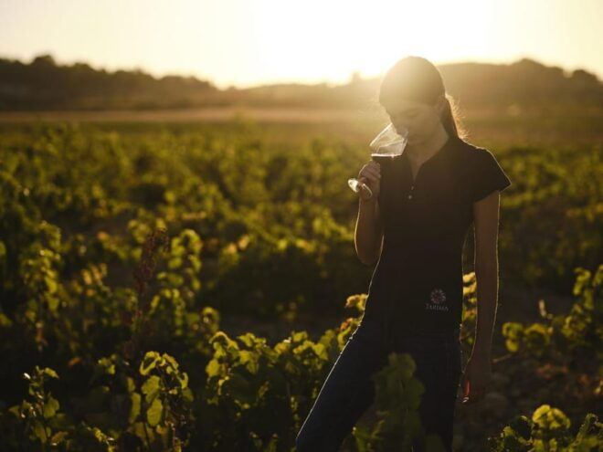 Alicante (Pinoso): Tour Experience Back From the Vineyard to the Glass - Recommended Attire and Participants