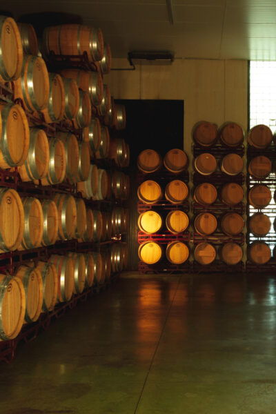 Alicante (Pinoso): Tour Experience Back From the Vineyard to the Glass - Frequently Asked Questions