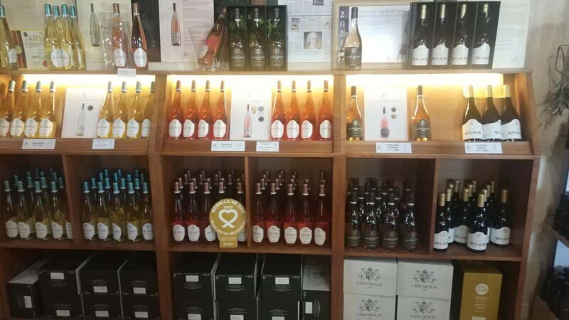 Alicante: Premium Tour of the winery. The best wines. Private transportation. - An In-Depth Look at the Winery Tour Experience