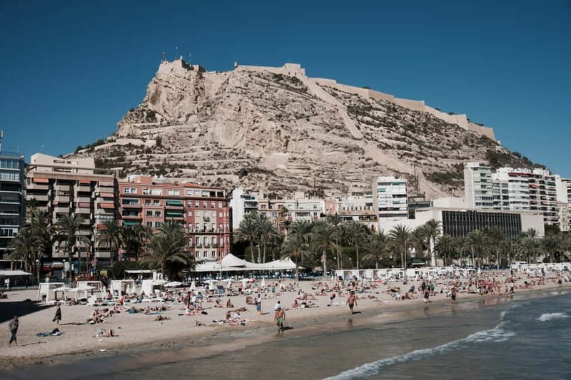Alicante: Private Guided Tour with Transport - The Hogueras Museum and Festival Insights