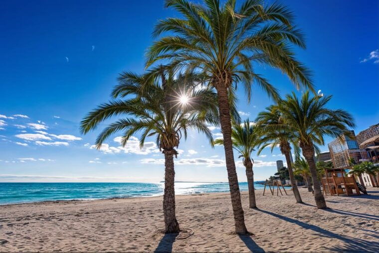 Alicante: Spot the Mediterranean by E-bike - Exploring Hidden Beaches and Coves