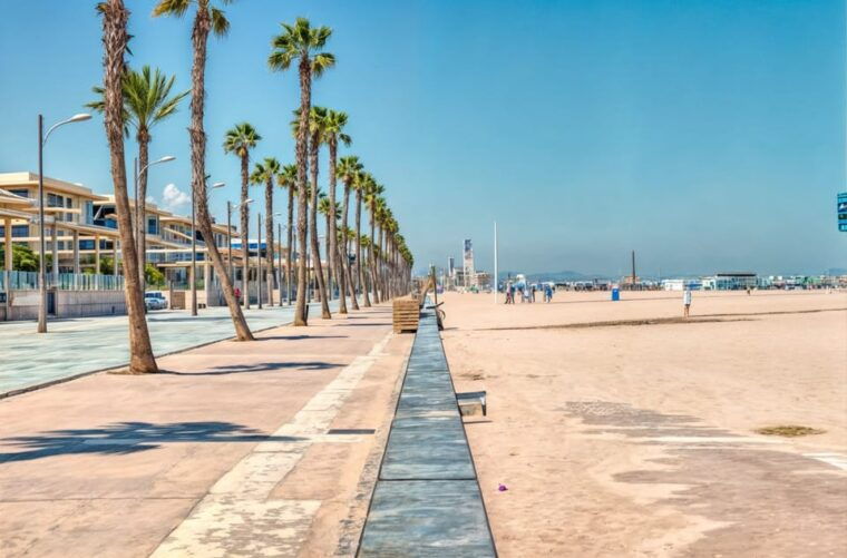 Alicante: Spot the Mediterranean by E-bike - Taking in Local Culture and History