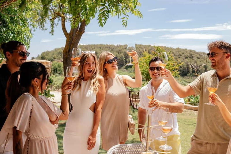 Alicante: Sustainable Wine & Tapas Experience at 3 Wineries - The Experience in Detail: What You’ll Actually Do and See