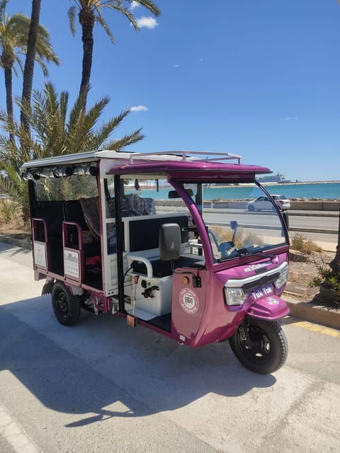 Alicante: Tuk Tuk Tour Electric 60 Minutes Electric - Inclusions and Additional Services