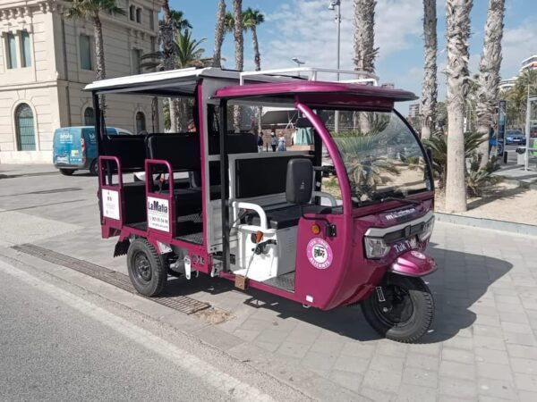 Alicante: Tuk Tuk Tour Electric 60 Minutes Electric - Starting Location and Transportation