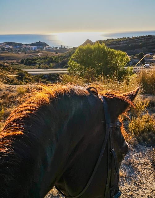 Alicante: Villajoyosa 2-hour Horseback Riding Tour - Experience Highlights