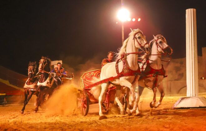 Alicante: Villajoyosa Gran Circus Maximus Entry Ticket - Accessibility and Inclusions