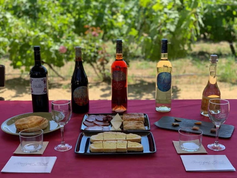 Alicante: Wine Tour and Lunch with Bodega Visit and Novelda - Who Will Love This Tour?