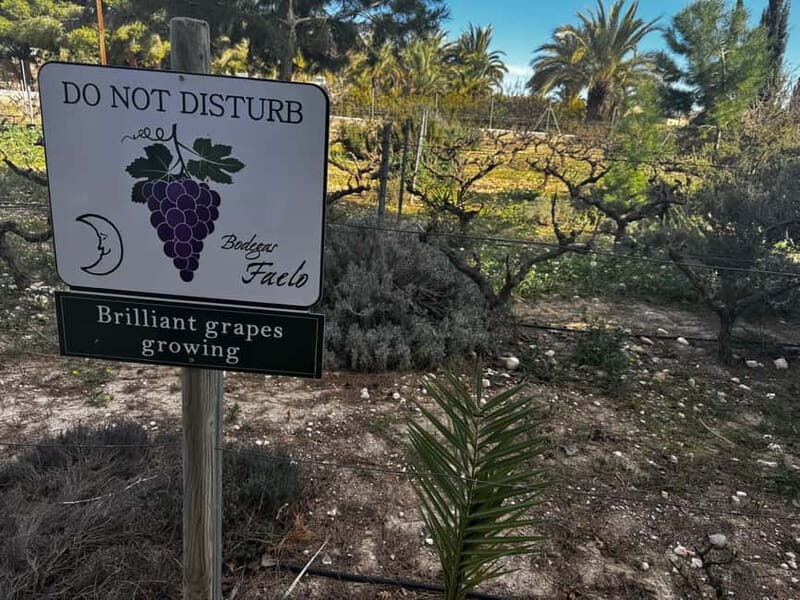 Alicante; Wine Tour Wineries, Food, and Transportation Included - Good To Know