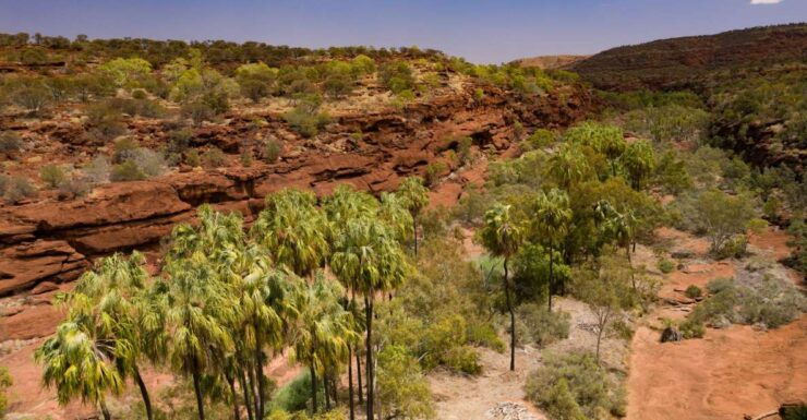 Alice Springs: 4WD Palm Valley Tour With Lunch - Tour Overview