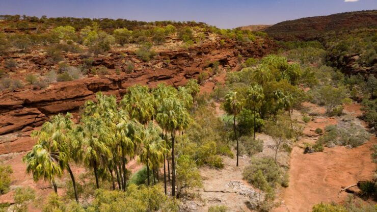 Alice Springs: 4WD Palm Valley Tour With Lunch - Activity Details