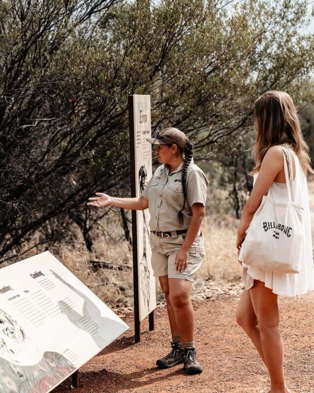 Alice Springs: Desert Park Entry Ticket - What to Expect from Your Visit