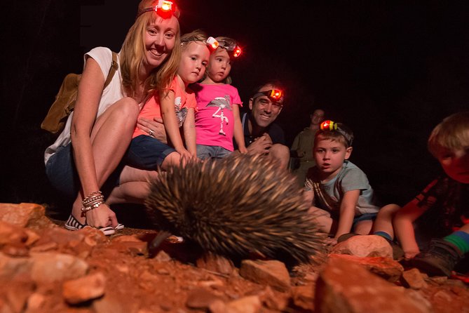 Alice Springs Desert Park Nocturnal Tour - Nocturnal Creatures to Observe in the Central Desert Environments