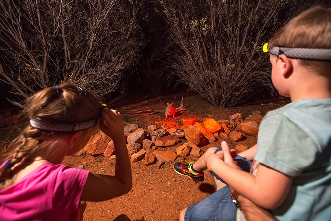 Alice Springs Desert Park Nocturnal Tour - Cancellation Policy for the Tour