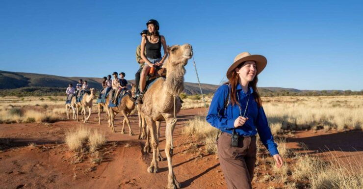 Alice Springs: Guided Outback Camel Ride - Activity Details and Options