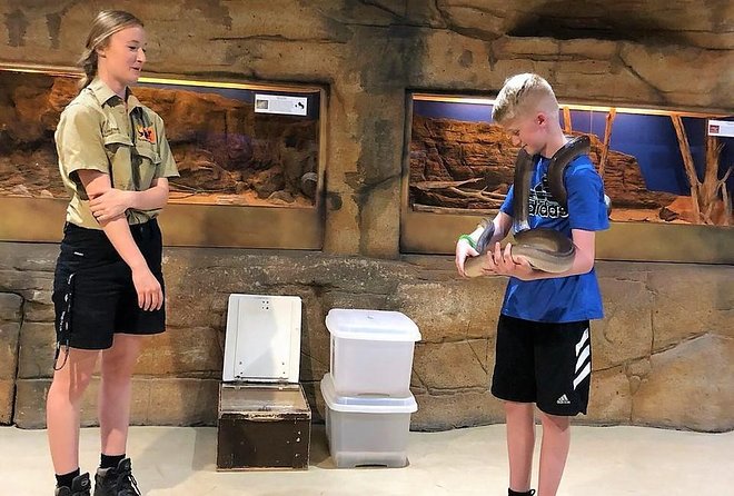 Alice Springs Highlights Tour - Tour Overview