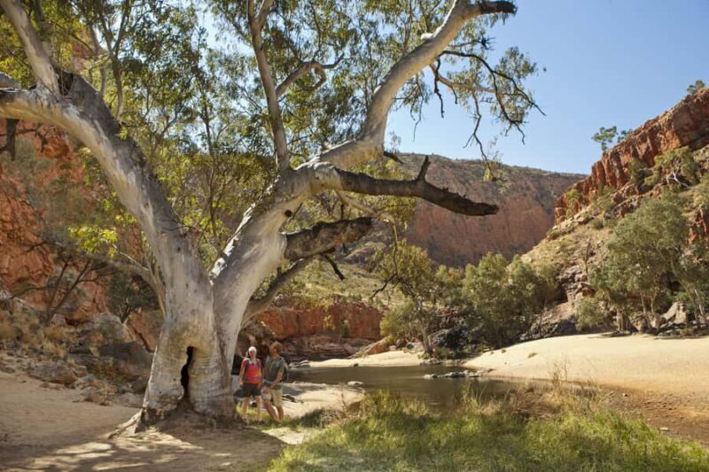 Alice Springs: West MacDonnell Ranges Day Tour with Lunch - FAQ