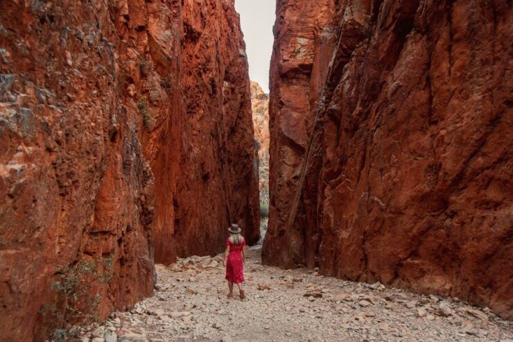 Alice Springs: West MacDonnell Ranges & Standley Chasm Tour - Tour Highlights