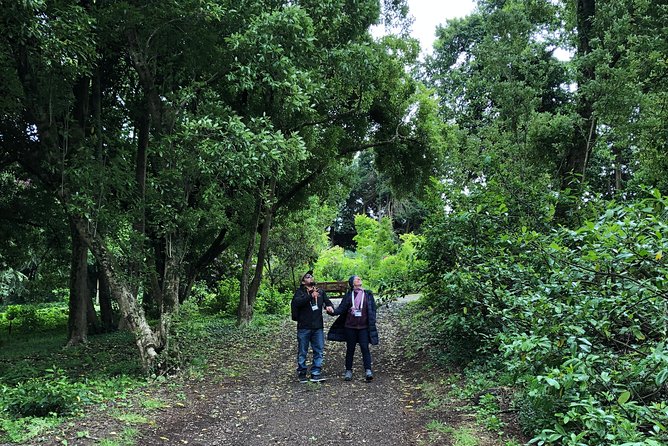 Alices Journeys Walking Tours of Daylesford 1.45pm FRI 9.45am SAT - Traveler Reviews