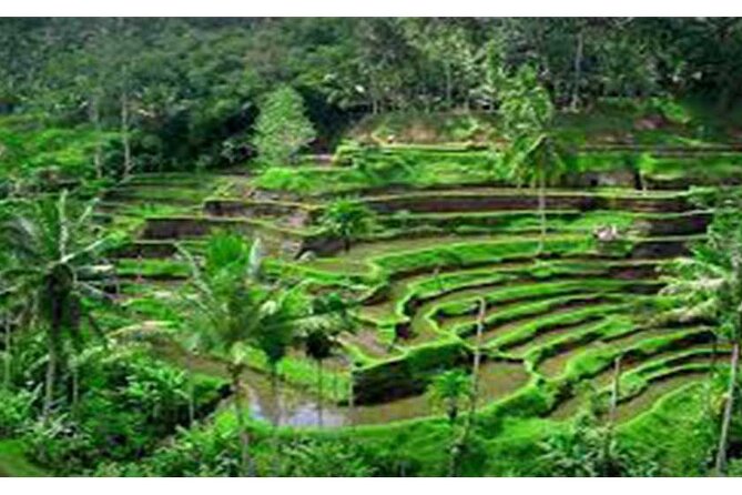 Aling-Aling and Banyumala Waterfall-Bedugul-JatiLuwih GreenLand - Overview of Aling-Aling Waterfall