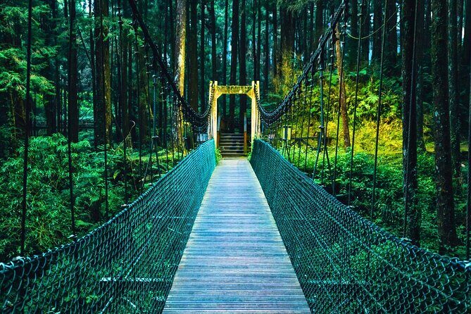 Alishan 2Day Shared Tour from Taipei - An In-Depth Look at the Tour Experience