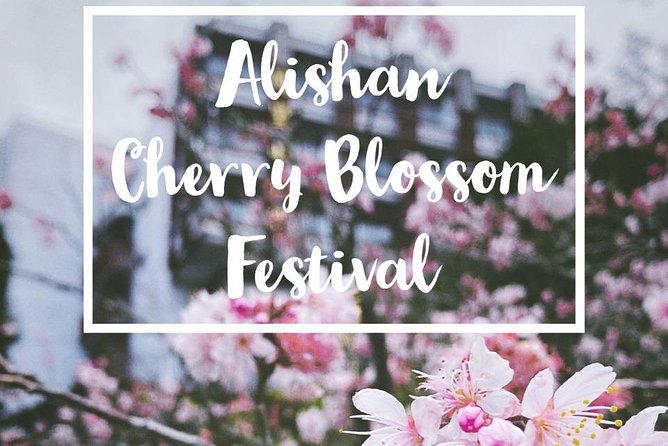 Alishan Culture and Ecology -One Day Tour - The Sum Up