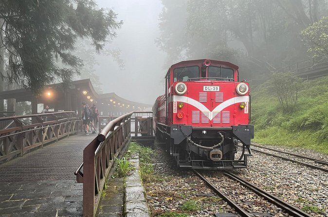 Alishan Day Tour from Chiayi (Incl. Park Entrance) - Who Is This Tour Best Suited For?