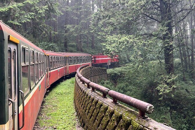 Alishan Day Tour from Kaohsiung (Incl. Park Entrance) - Why You’ll Want to Book the Alishan Day Tour from Kaohsiung