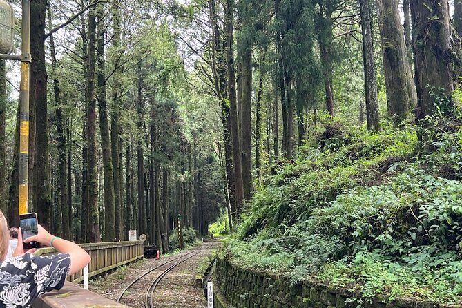 Alishan Day Tour from Kaohsiung (Incl. Park Entrance) - Exploration at Chukou Visitor Center