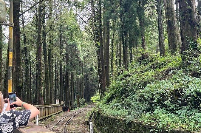 Alishan Day Tour from Kaohsiung (Incl. Park Entrance) - Cultural Insights and Indigenous Heritage