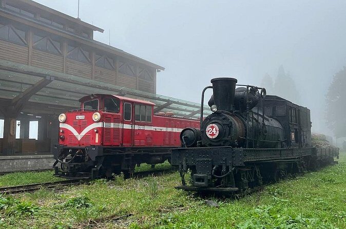 Alishan Day Tour from Kaohsiung (Incl. Park Entrance) - Timing and Flexibility