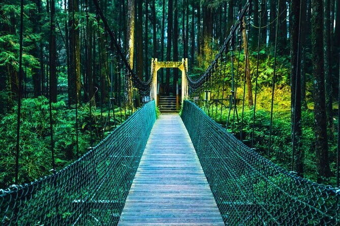 Alishan Join In Day Tour from Taichung (Incl. Park Entrance) - Good To Know