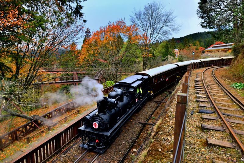 Alishan National Forest Recreation Area Admission Ticket - Alishan at a glance