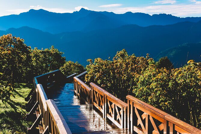 Alishan National Forest Recreation Area Ticket by Zhushan Line - The Experience Breakdown: What You Can Expect