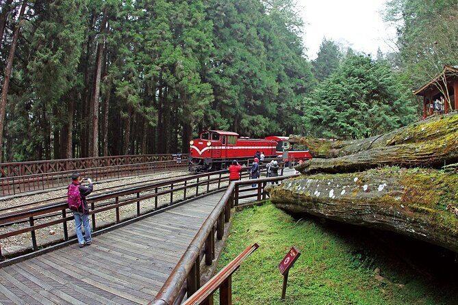Alishan National Forest Recreation Area Ticket by Zhushan Line - Who Will Love This Tour?