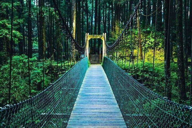 Alishan National Forest Recreation Area Ticket by Zhushan Line - Final Thoughts: Is This Tour Worth It?