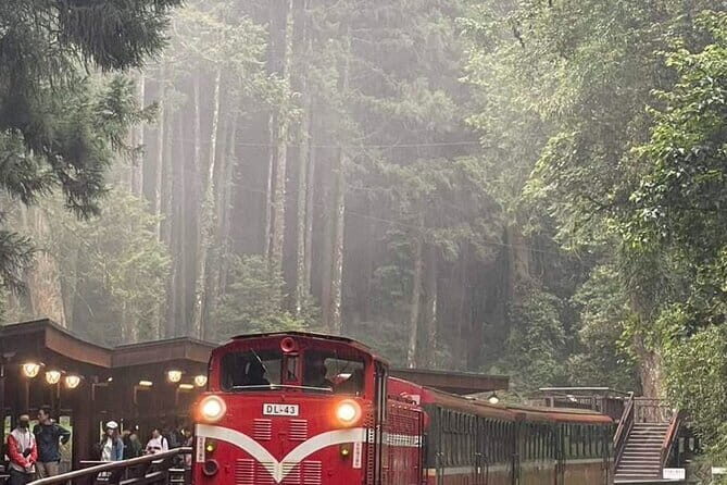 Alishan One Day Tour from Taichung - Introduction: What to Expect from the Alishan Day Tour