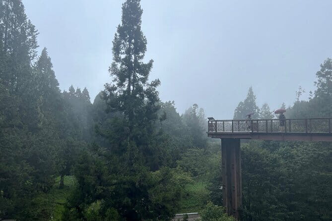 Alishan, Sun Moon Lake, Taichung Three Days Tour from Taipei - An In-Depth Look at the 3-Day Itinerary