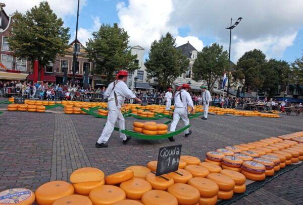 Alkmaar: Walking Tour Highlights Audio and Gps Guided - The Sum Up