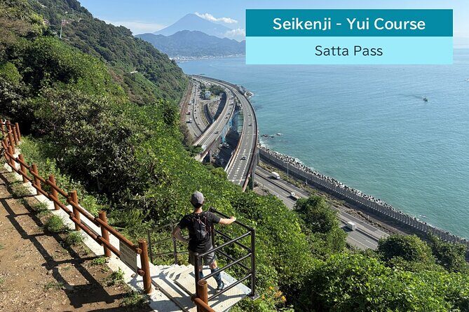 All-about Mt.Fuji Short Tour from Shimizu Port - Analyzing the Value and Practicality