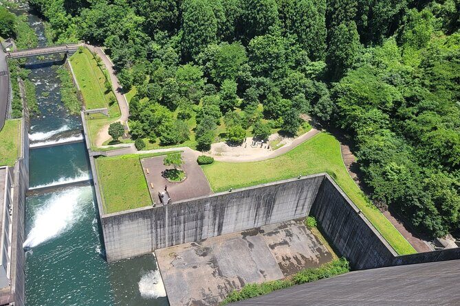 All Attack on Titan Sites and Forest Adventure Private Tour - An In-Depth Look at the Attack on Titan Private Tour