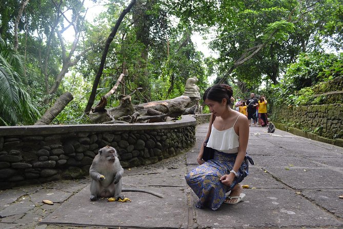 All BEST NATURE, Culture and Heritage: Private Tour in UBUD - Whats Included