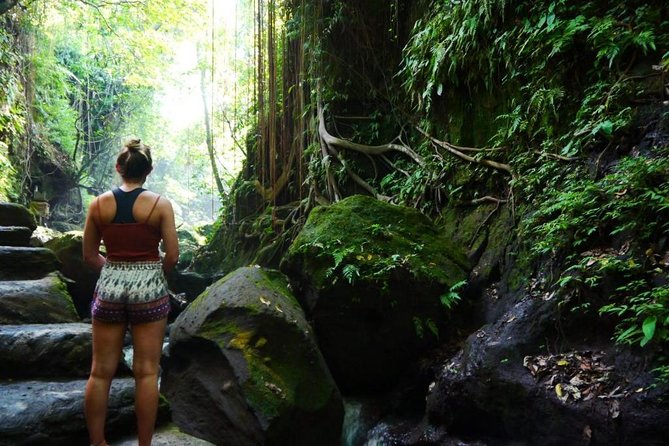 All BEST NATURE, Culture and Heritage: Private Tour in UBUD - Pickup and Drop-off Details