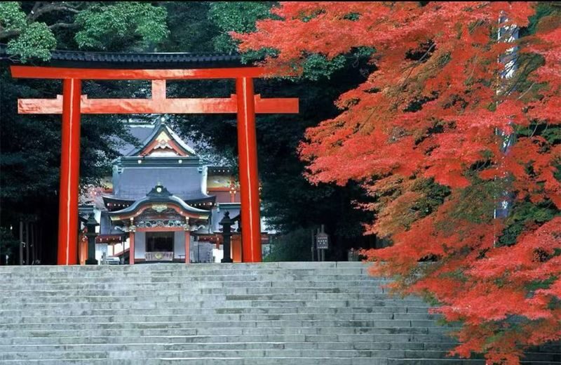 All checked-in Kagoshima Kirishima Line: Boutique small group one-day tour/Myth Park + Shrine Blessing + Maruo Waterfall + Takachiho Ranch Healing Tour - Starting above the clouds at Shinwa no Sato Park