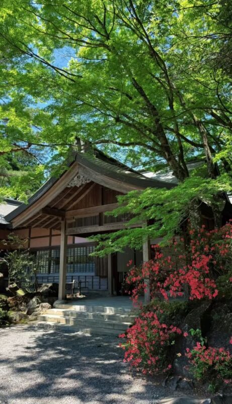 All checked-in Kagoshima Kirishima Line: Boutique small group one-day tour/Myth Park + Shrine Blessing + Maruo Waterfall + Takachiho Ranch Healing Tour - What the price covers, and what it does not